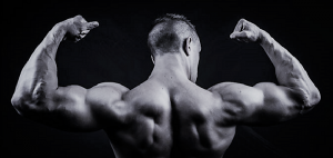 Ejercicios de musculación para la espalda